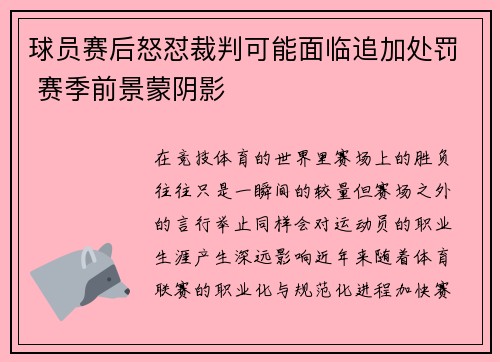 球员赛后怒怼裁判可能面临追加处罚 赛季前景蒙阴影